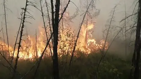 Płonie Syberia. Ogień strawił niemal milion hektarów tajgi 