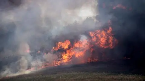 "Wszędzie, gdzie spojrzysz, jest ogień"
