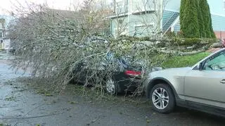 Powalone drzewa, zniszczone samochody. "Usłyszałam głośny huk"