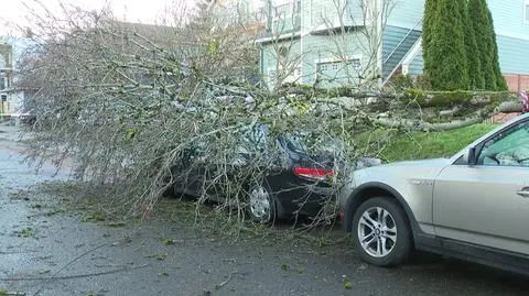 Skutki burzy w Portland