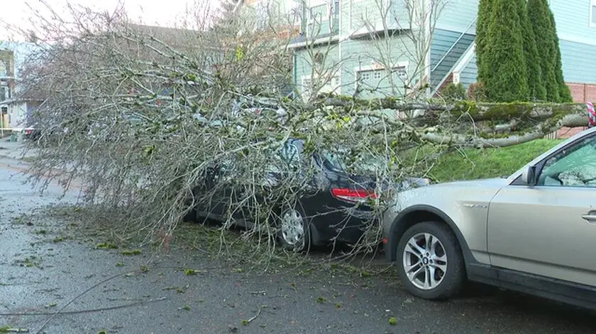 Burza przyniosła poważne zniszczenia. "Myślałem, iż ktoś strzela"