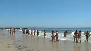 Pływał przy plaży. Mógł zaatakować go rekin