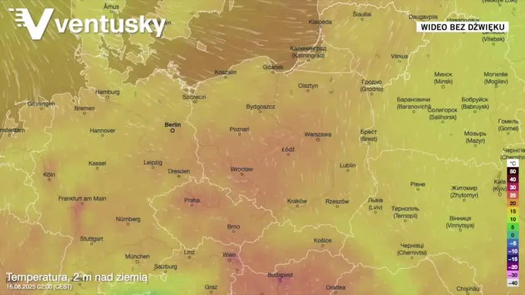Prognozowana temperatura w kolejnych dniach