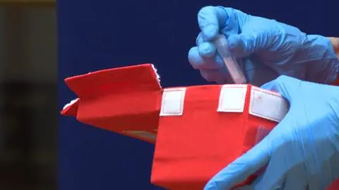 Sławosz Uznański-Wiśniewski wrócił z ISS z fiolkami drożdży