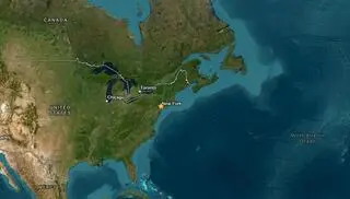 Trzęsienie ziemi w USA