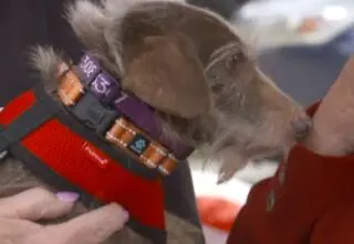 Zniknął w 2021 roku. Odnalazł się tysiące kilometrów od domu