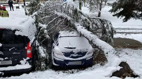 Atak zimy na Podkarpaciu 