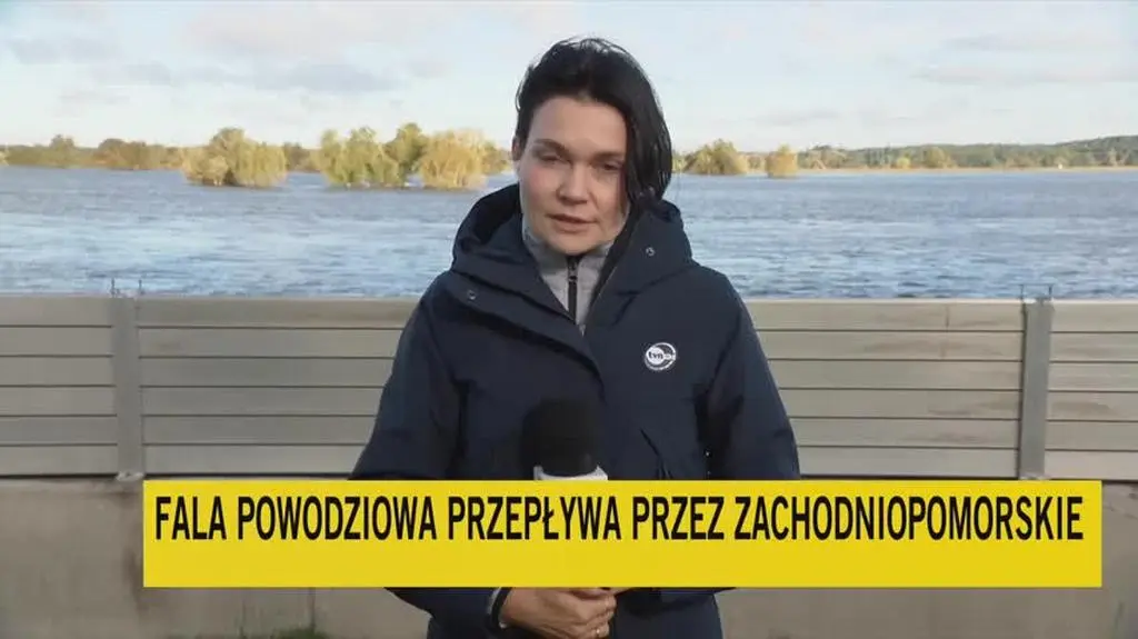 odra dl