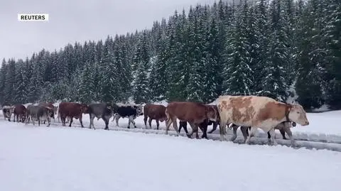 AUSTRIA