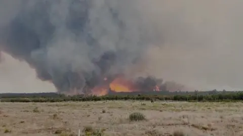 firenado