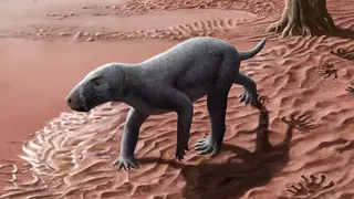 Gorgonops z Majorki - wizja artysty