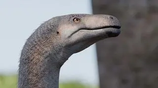 Dinozaur