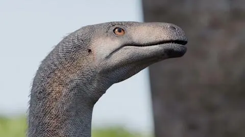 Dinozaur