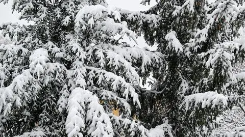 Śnieg, zima, Polska