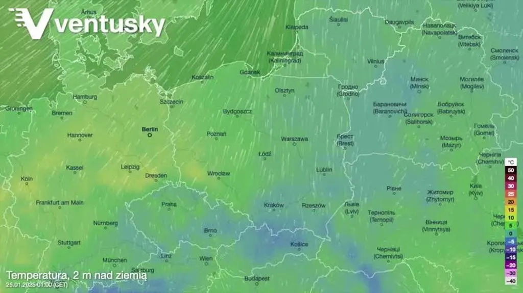 Prognozowana temperatura w kolejnych dniach