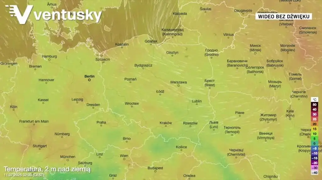 Prognozowana temperatura w kolejnych dniach