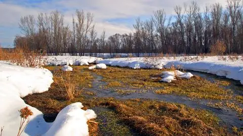Ocieplenie i odwilż
