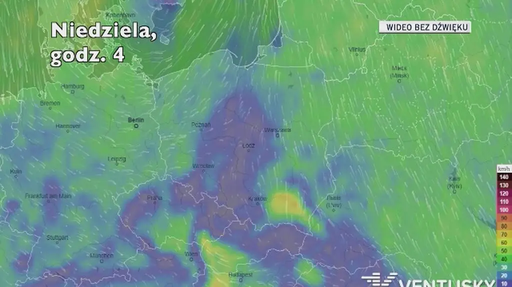 Prognozowana prędkość porywów wiatru w kolejnych dniach (Ventusky