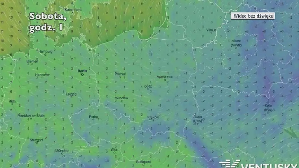 Prognozowana temperatura w następnych dniach| wideo bez dźwięku