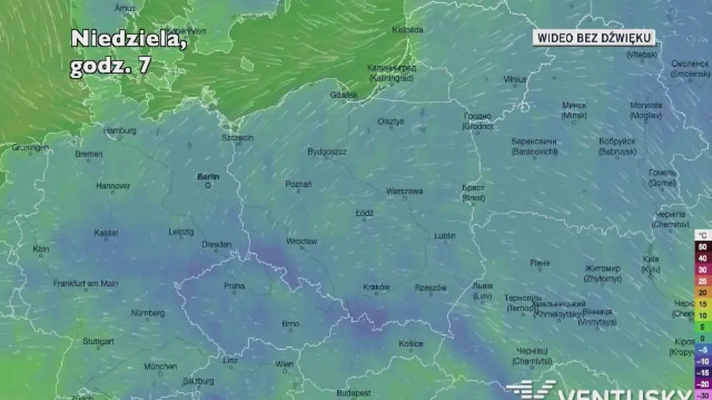 Prognozowana temperatura w najbliższych dniach 