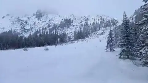 W rejonie Morskiego Oka "zeszła lawina gigantycznych rozmiarów", a "las właściwie przestał istnieć"