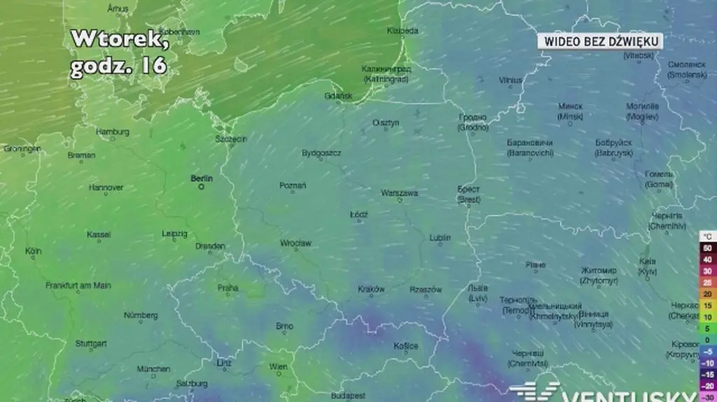 Prognozowana temperatura w najbliższych dniach
