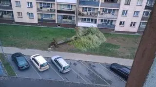 Wichura w Człuchowie