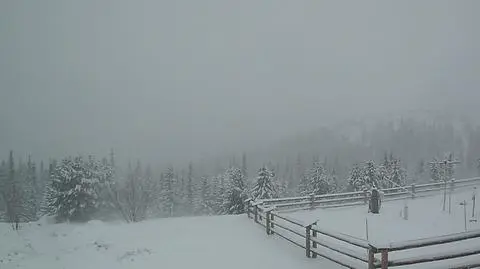 Hala Gąsienicowa, widok na Granaty 