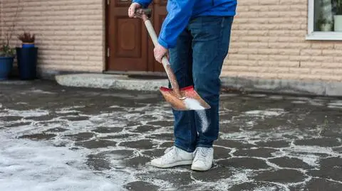 Sól drogowa szkodzi zooplanktonowi. "Uniemożliwia mu wiosenny sukces wylęgowy"