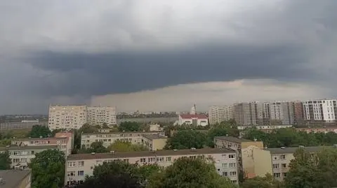 Uszkodzone samochody, połamane drzewa po burzy w Warszawie