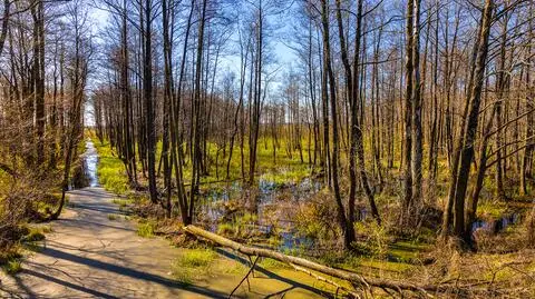 Pogoda na weekend: słoneczna aura na dobre rozgości się w Polsce