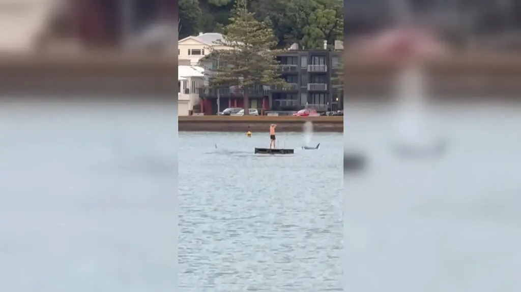 Orki otoczyły jego ponton. "Byłem naprawdę oszołomiony"