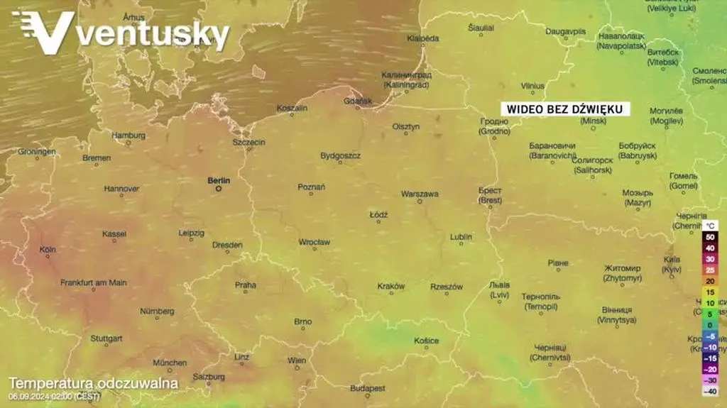 Prognozowana temperatura w kolejnych dniach 
