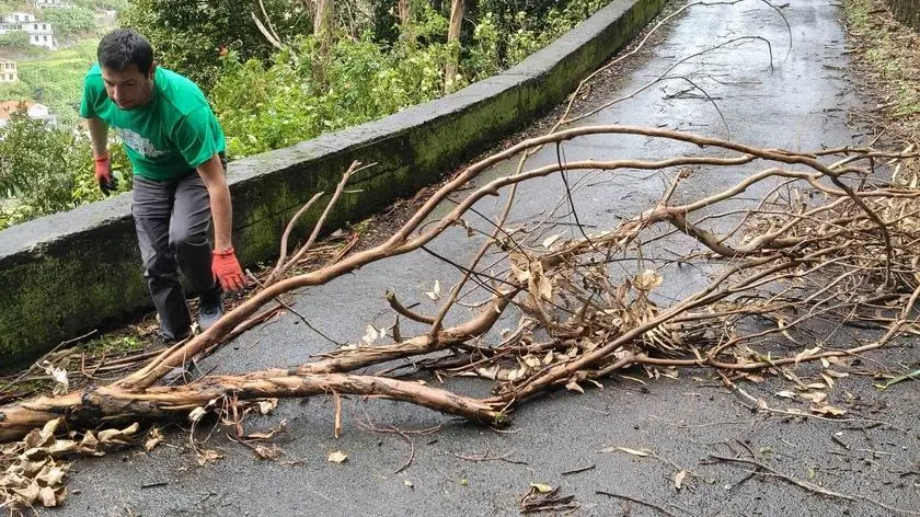 Burza Emilia na Maderze. Wiało tak, iż łamały się drzewa