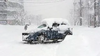 Śnieg w Japonii 