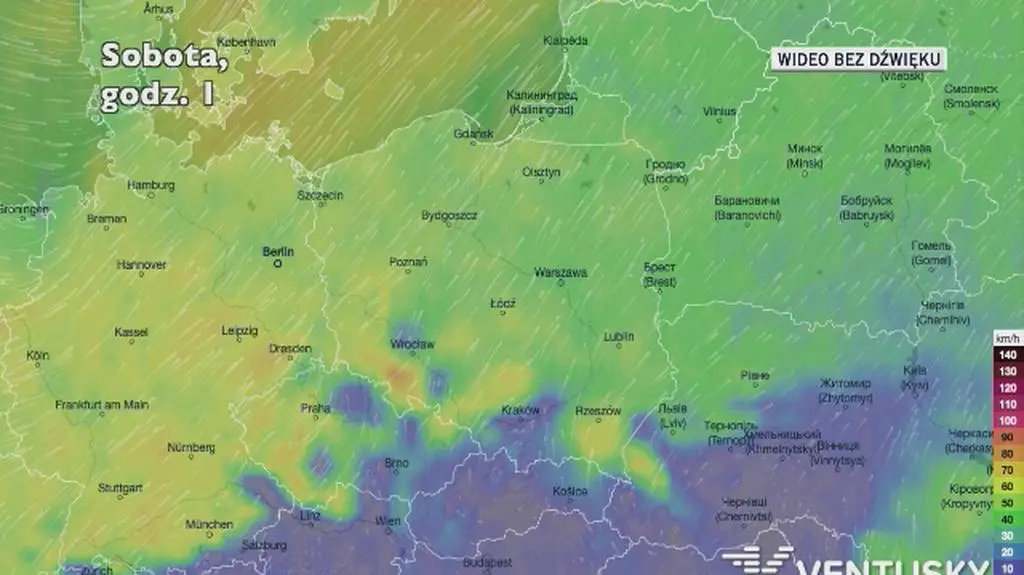 Prognozowane porywy wiatru w ciągu najbliższych dni (Ventusky