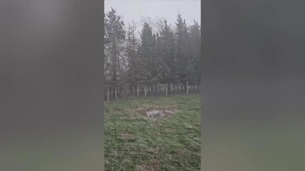 zawieja