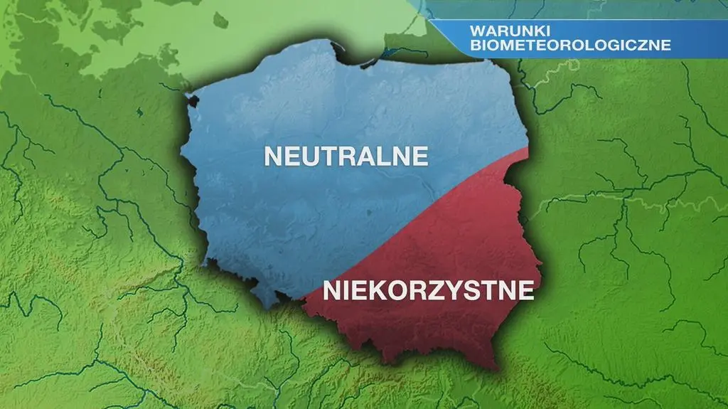 Klatka kluczowa-28095