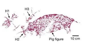 Malowidła przedstawiają dziką świnię (pig figure) oraz trzy postaci ludzkie (H1, H2, H3)