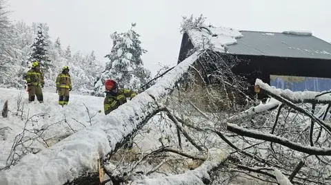Usuwanie skutków śnieżyc na Podkarpaciu