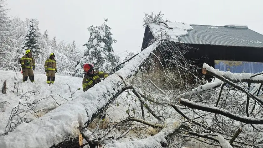 Wypadki i kolizje. Trudny dzień dla kierowców