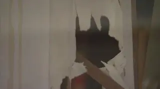 Niedźwiedź zdemolował pensjonat