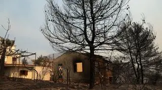 Zniszczony dom w miejscowości Dionizos na obrzeżach Aten
