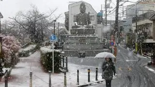 Śnieg w Tokio
