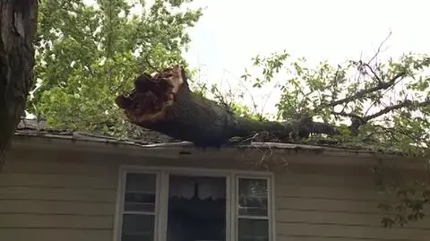 W Kansas City drzewo przewróciło się na dom