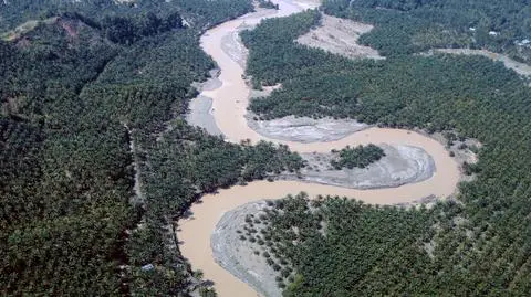 Wylesianie w Indonezjii