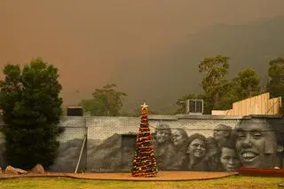 Pożary buszu w Australii