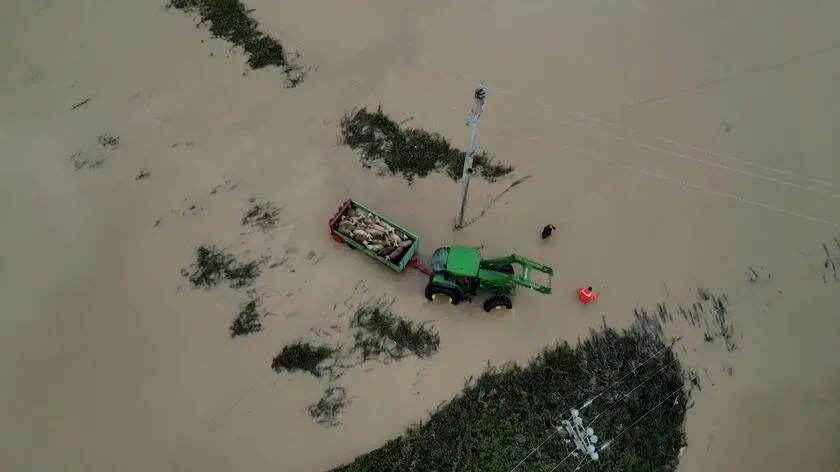 Albania. Rzeka przerwała wał. Zginęło kilkaset owiec