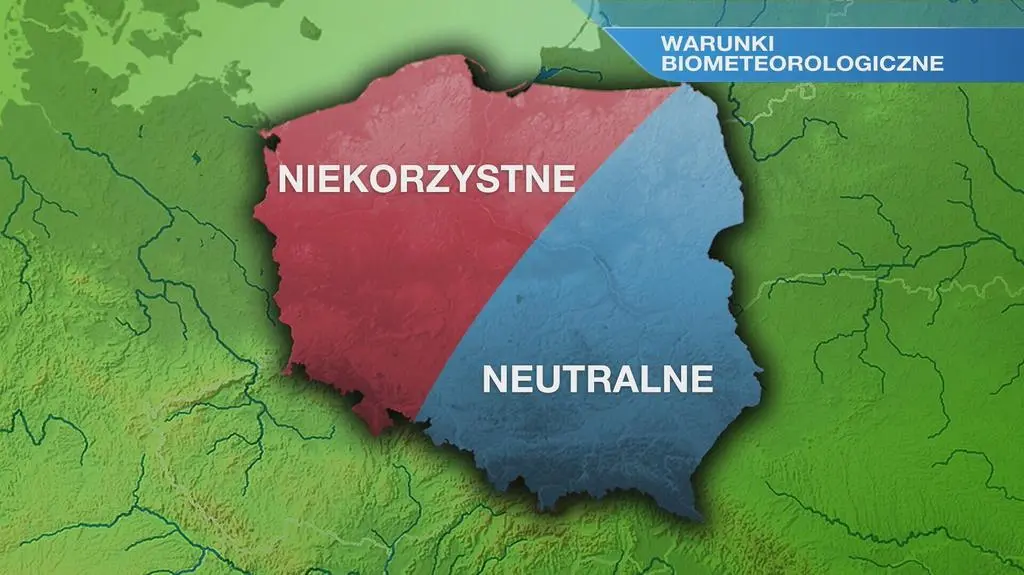 Klatka kluczowa-60649