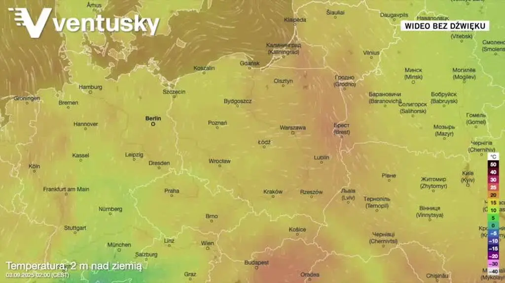 Prognozowana temperatura w kolejnych dniach
